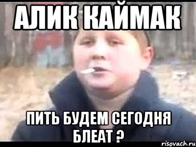 Алик Каймак Пить будем сегодня блеат ?, Мем поцык