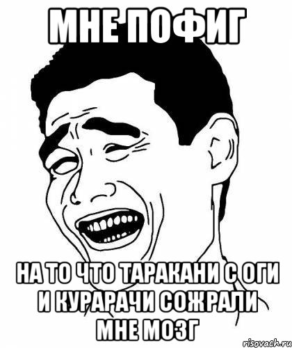 Мне пофиг На то что таракани с оги и курарачи сожрали мне мозг, Мем пофигист