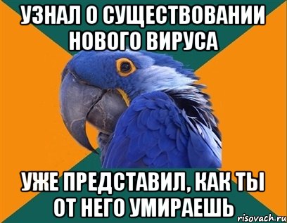 узнал о существовании нового вируса уже представил, как ты от него умираешь, Мем Попугай параноик