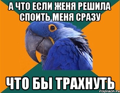 А ЧТО ЕСЛИ ЖЕНЯ РЕШИЛА СПОИТЬ МЕНЯ СРАЗУ ЧТО БЫ ТРАХНУТЬ, Мем Попугай параноик