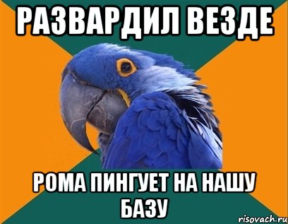 Развардил везде Рома пингует на нашу базу, Мем Попугай параноик