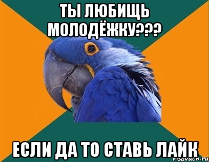 Ты любищь Молодёжку??? Если да то ставь лайк, Мем Попугай параноик