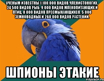 Учёным известны 1 100 000 видов членистоногих, 24 500 видов рыб, 9 000 видов млекопитающих и птиц, 8 000 видов пресмыкающихся, 5 000 земноводных и 260 000 видов растений. шпионы этакие, Мем Попугай параноик