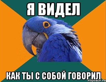 я видел как ты с собой говорил, Мем Попугай параноик