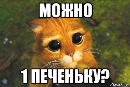 можно 1 печеньку?