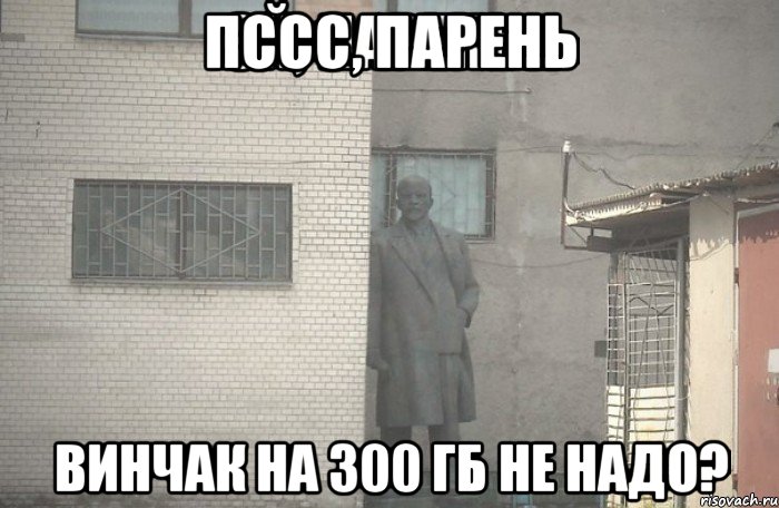 Пссс, парень Винчак на 300 ГБ не надо?, Мем псс парень