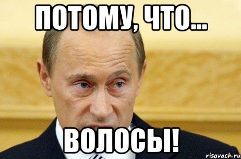 Потому, что... Волосы!, Мем путин