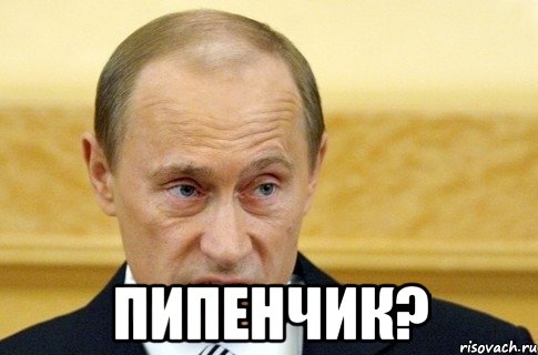  Пипенчик?, Мем путин