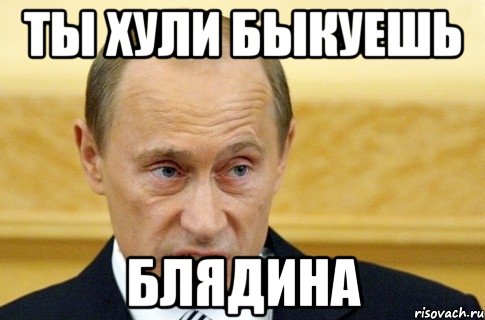 ты хули быкуешь блядина, Мем путин