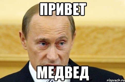 привет медвед, Мем путин