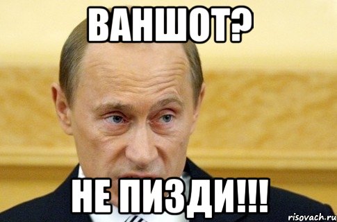 Ваншот? Не пизди!!!, Мем путин