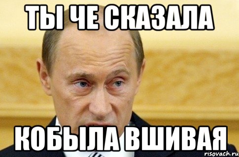 Ты че сказала кобыла вшивая, Мем путин