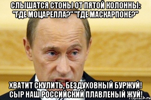 Слышатся стоны От пятой колонны: "Где моцарелла?" "Где маскарпоне?" Хватит скулить, Бездуховный буржуй! Сыр наш российский Плавленый жуй!, Мем путин