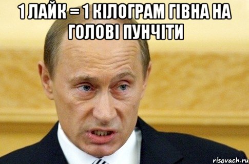 1 лайк = 1 кілограм гівна на голові Пунчіти , Мем путин