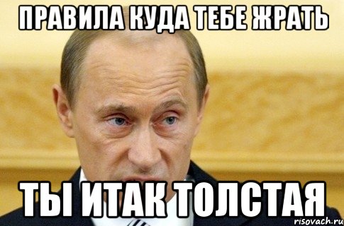 Правила куда тебе жрать Ты итак толстая, Мем путин