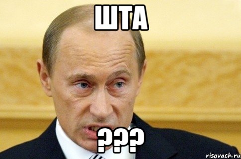 шта ???, Мем путин