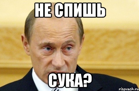 не спишь сука?, Мем путин