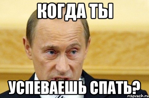 когда ты успеваешь спать?, Мем путин