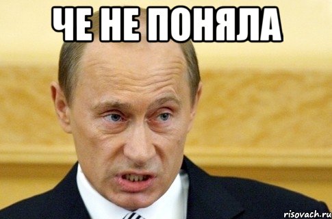 че не поняла , Мем путин