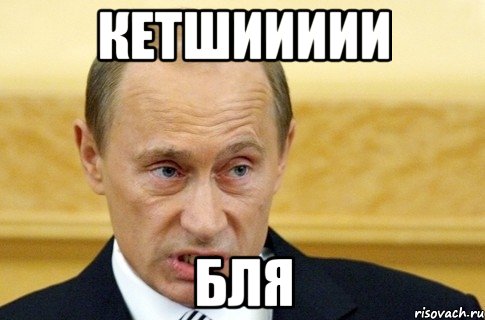 кетшиииии Бля, Мем путин