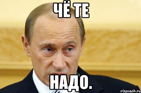 Чё те надо., Мем путин