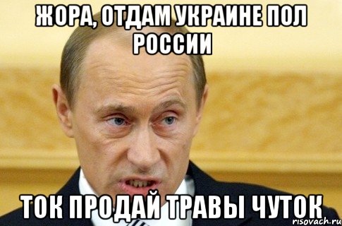 Жора, отдам Украине пол России ток продай травы чуток, Мем путин