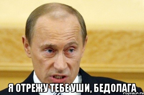  Я ОТРЕЖУ ТЕБЕ УШИ, БЕДОЛАГА, Мем путин