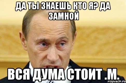 да ты знаешь кто я? да замной вся дума стоит .M., Мем путин