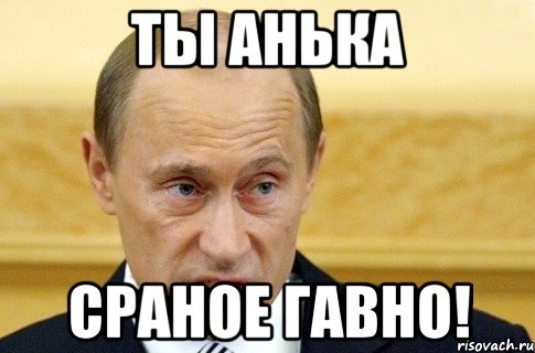 Ты Анька Сраное гавно!, Мем путин