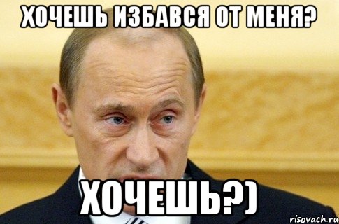 Хочешь избався от меня? хочешь?), Мем путин