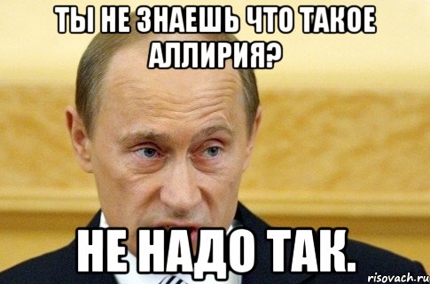 Ты не знаешь что такое Аллирия? Не надо так., Мем путин