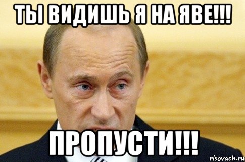 Ты видишь Я на Яве!!! Пропусти!!!, Мем путин