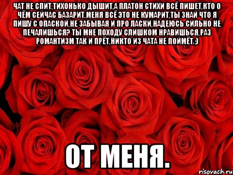 Чат не спит,тихонько дышит,а Платон стихи всё пишет,кто о чём сейчас базарит,меня всё это не кумарит,ты знай что я пишу с опаской,не забывая и про ласки,надеюсь сильно не печалишься? Ты мне походу слишком нравишься,раз романтизм так и прёт,никто из чата не поймёт.;) От Меня., Мем роза