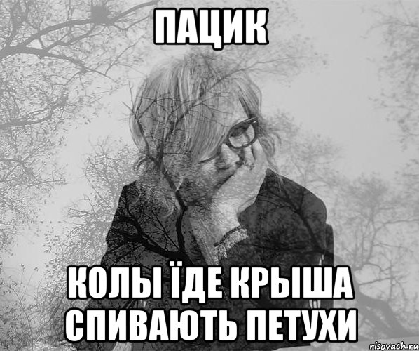 пацик колы їде крыша спивають петухи