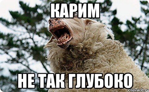 КАРИМ НЕ ТАК ГЛУБОКО