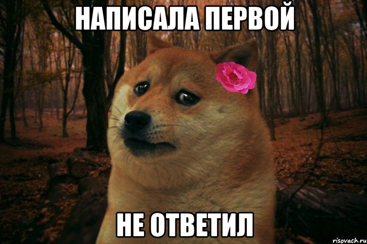 написала первой не ответил, Мем  SAD DOGE GIRL