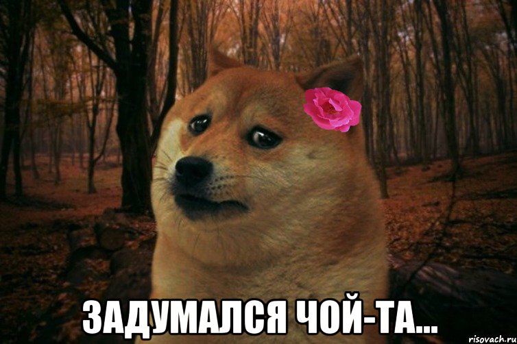  Задумался чой-та..., Мем  SAD DOGE GIRL