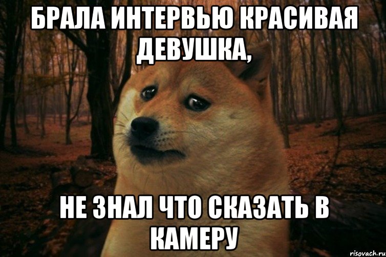 Брала интервью красивая девушка, не знал что сказать в камеру, Мем SAD DOGE