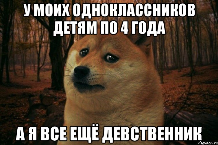 У моих одноклассников детям по 4 года А я все ещё девственник, Мем SAD DOGE