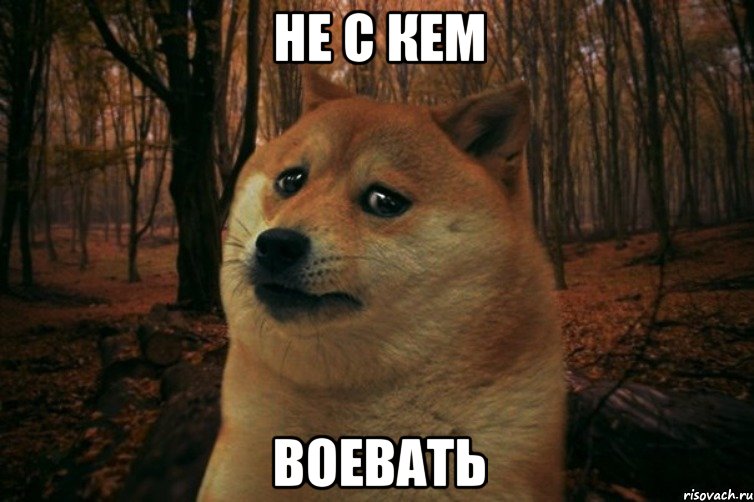 НЕ с кем воевать, Мем SAD DOGE