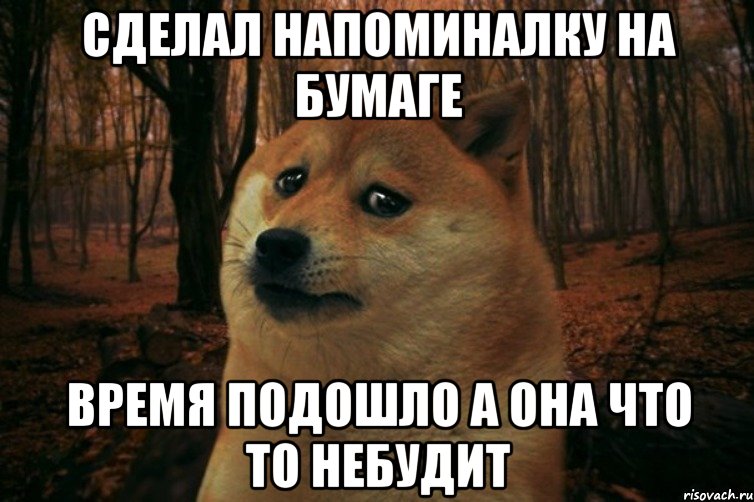 сделал напоминалку на бумаге время подошло а она что то небудит, Мем SAD DOGE