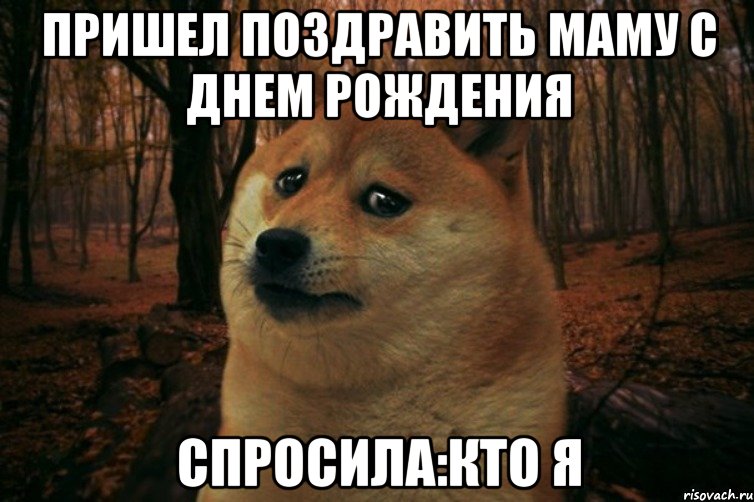 пришел поздравить маму с днем рождения спросила:кто я, Мем SAD DOGE