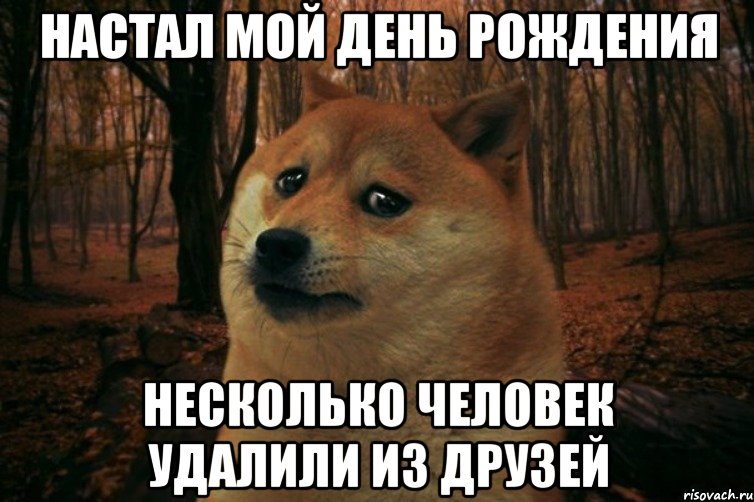 настал мой день рождения несколько человек удалили из друзей, Мем SAD DOGE