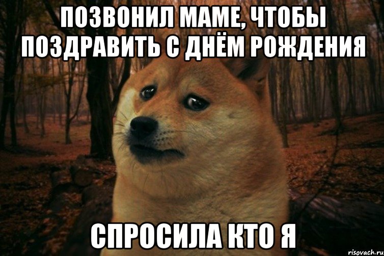 позвонил маме, чтобы поздравить с днём рождения спросила кто я, Мем SAD DOGE