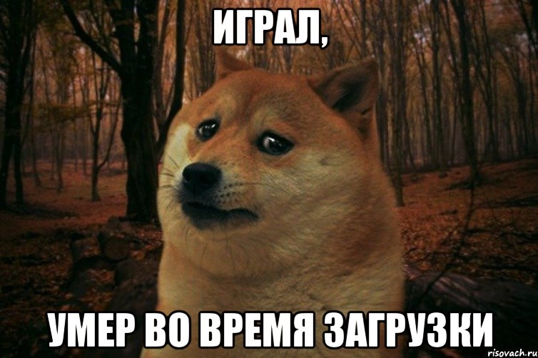 Играл, умер во время загрузки, Мем SAD DOGE