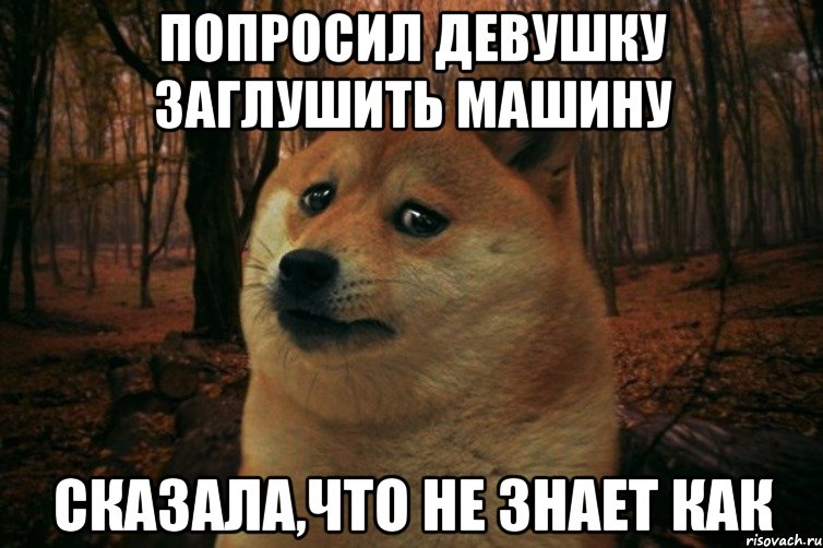 Попросил девушку заглушить машину сказала,что не знает как, Мем SAD DOGE