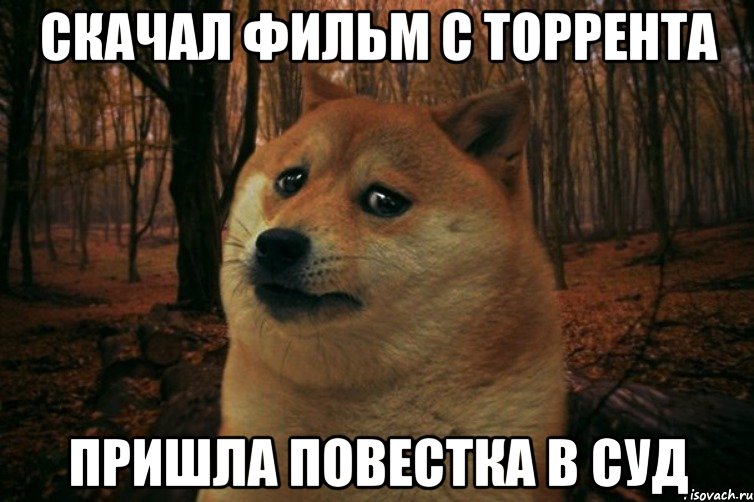 скачал фильм с торрента пришла повестка в суд, Мем SAD DOGE