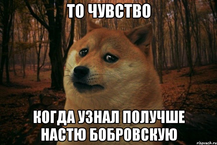 ТО ЧУВСТВО КОГДА УЗНАЛ ПОЛУЧШЕ НАСТЮ БОБРОВСКУЮ, Мем SAD DOGE