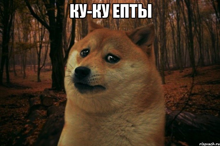 Ку-ку епты , Мем SAD DOGE