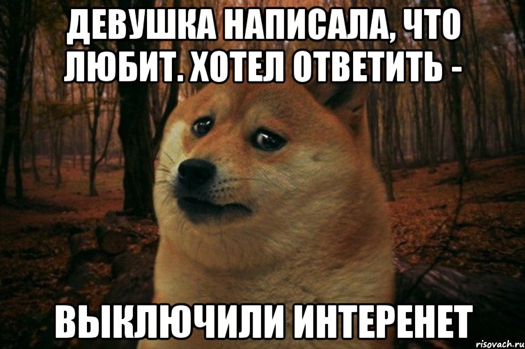 Девушка написала, что любит. Хотел ответить - выключили интеренет, Мем SAD DOGE